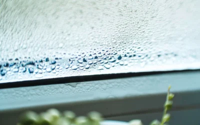 Ventanas que «lloran»: soluciones reales para la humedad por condensación