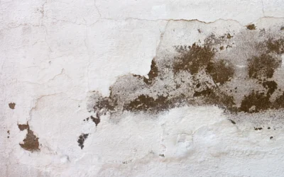 ¿Funciona la pintura antihumedad o es tirar el dinero?